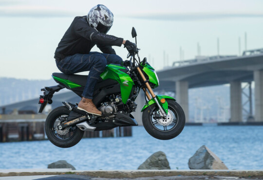 Kawasaki Z125 PRO